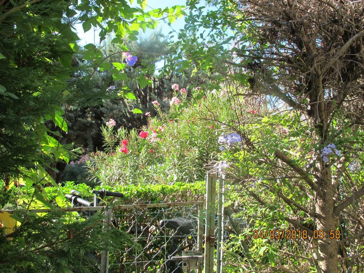 L'Ancien Couvent Sur Jardin, Havre De Paix En Centre Ville A 100M De La Mer Avec Parking Privatif Σετ Εξωτερικό φωτογραφία